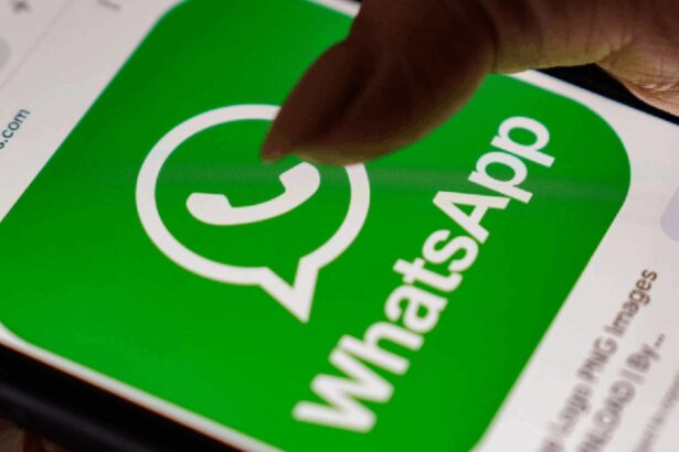 WhatsApp under government review over proposed username feature