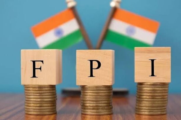 Foreign portfolio investment in Indian stock market rises as FPIs invest Rs 30,919 crore in August